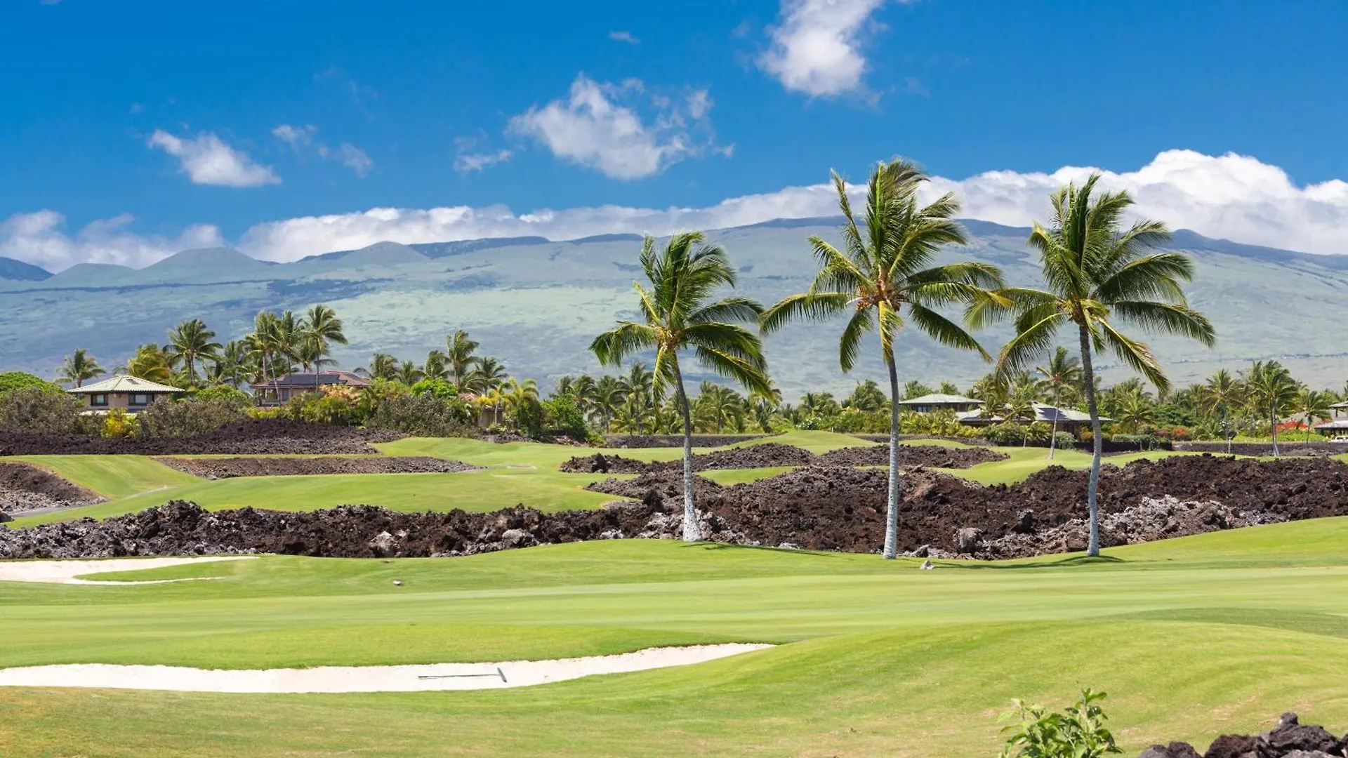 One Ocean Ohana Expansive Views Exclusive Oceanfront Grotto Pool Plus Private Pool Spa ワイコロアビレッジ 0*,  米国