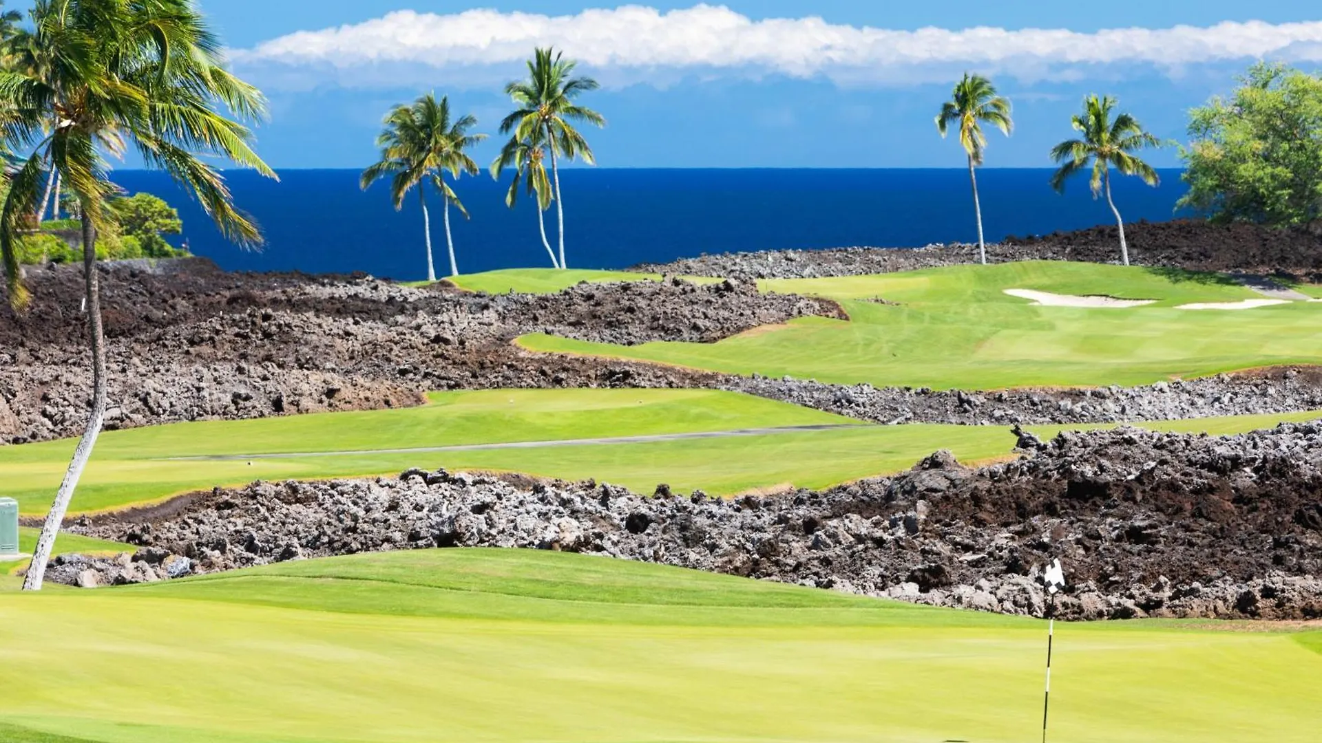 別荘 One Ocean Ohana Expansive Views Exclusive Oceanfront Grotto Pool Plus Private Pool Spa ワイコロアビレッジ
