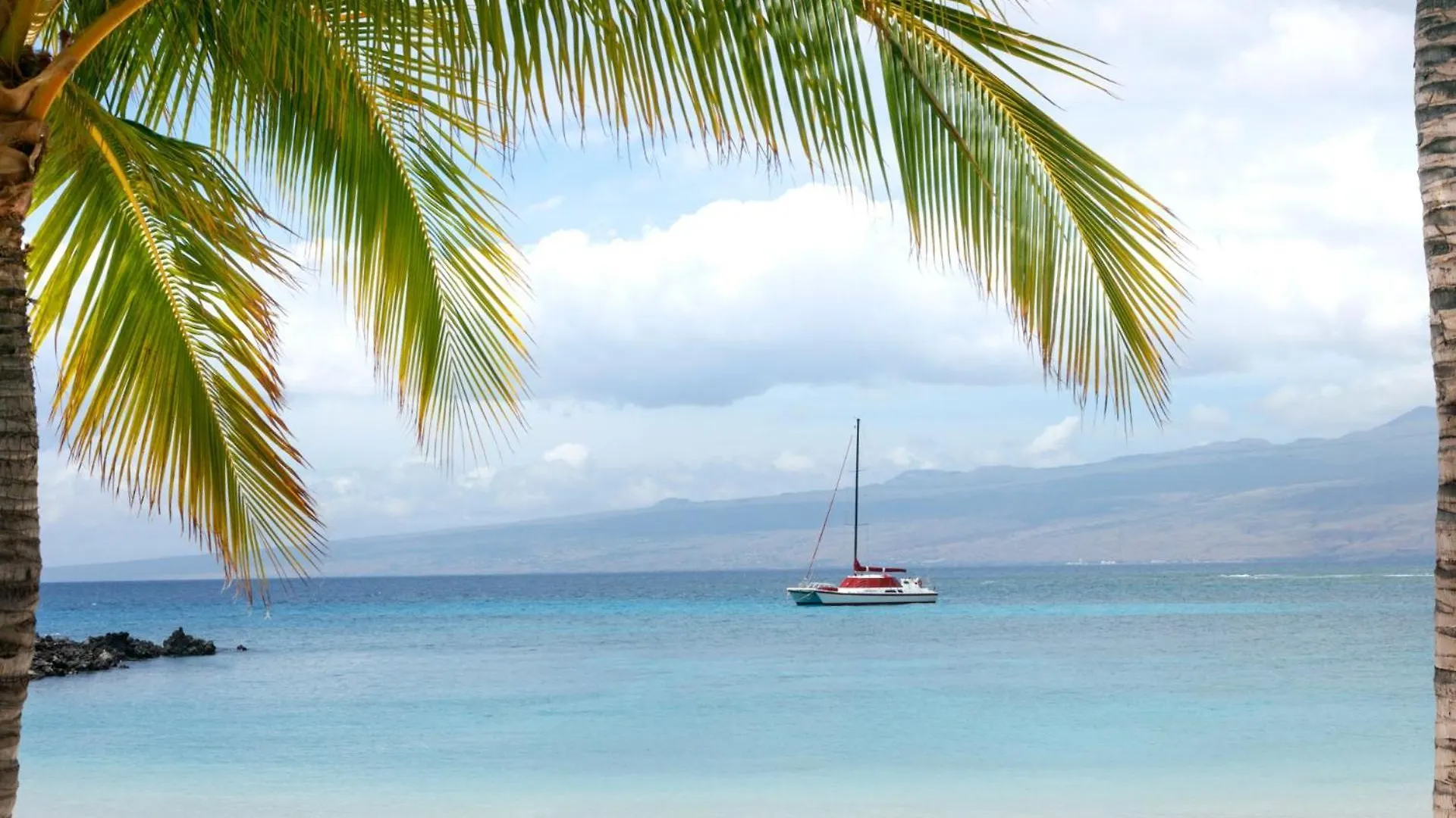One Ocean Ohana Expansive Views Exclusive Oceanfront Grotto Pool Plus Private Pool Spa 唯客乐渡假村 0*,